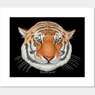 Cute Tiger Face Posters and Art